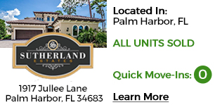 Luxury Home Community Palm Harbor