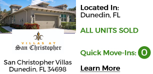 Luxury Homes Dunedin Florida