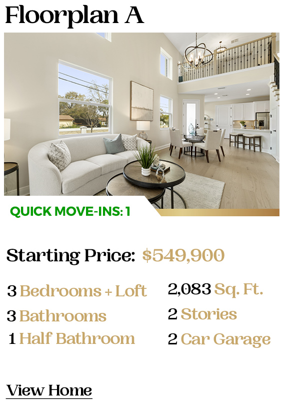 Luxury Custom Homes Seminole FL