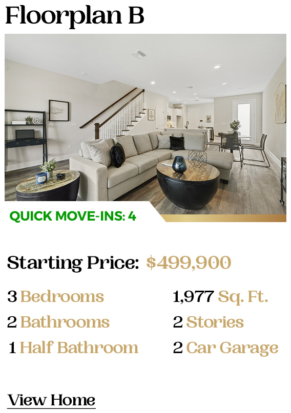 Luxury Coastal Homes Seminole FL