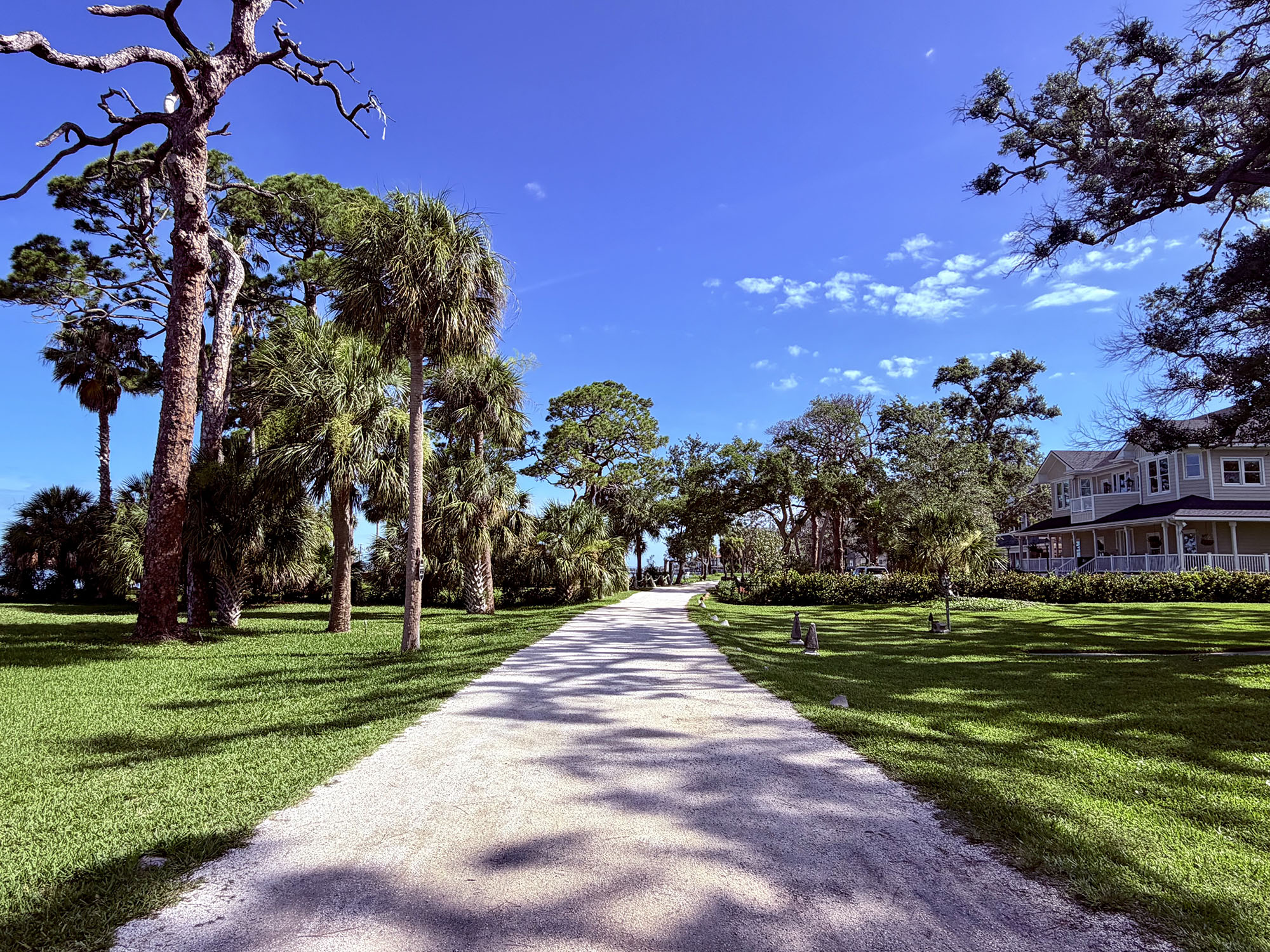 Coastal home beside live oaks and a palm-lined path