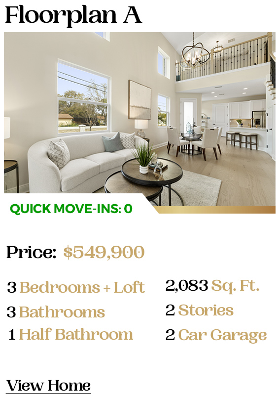 Luxury Custom Homes Seminole FL